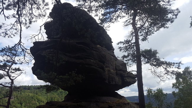 Labske Udoli 2023 Linkes Ufer 2