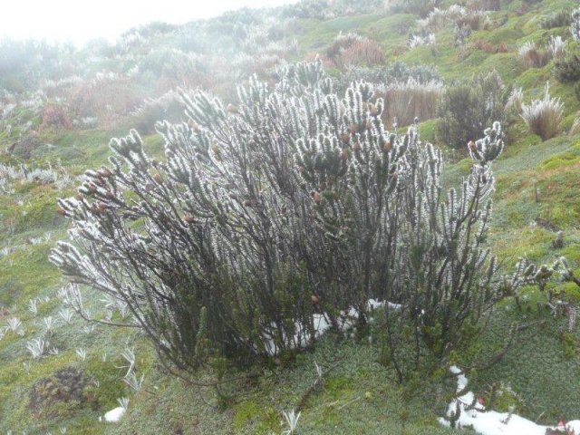 031_Ecuador_eine_Andenreise_ins_Hochland