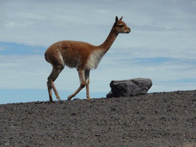 039_Ecuador_eine_Andenreise_ins_Hochland