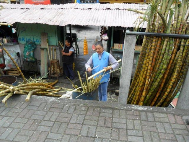 046_Ecuador_eine_Andenreise_ins_Hochland