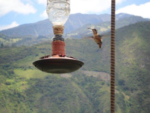 048_Ecuador_eine_Andenreise_ins_Hochland